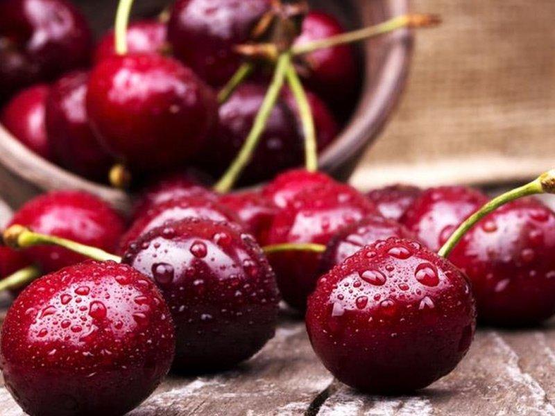 Вишня купить саженцы из питомника в Чехове